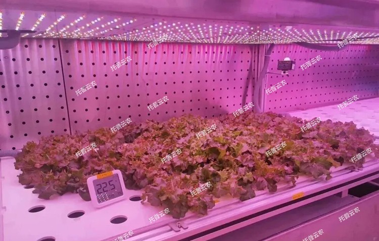 1774600194208831.jpg 图片13.jpg